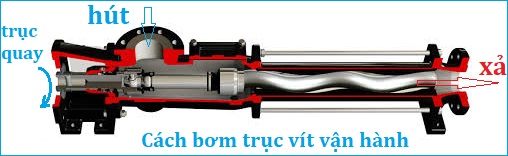 cau_tao_bom_truc_vit