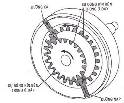 may-bom-dau-cau-100l-3